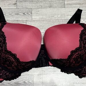 torrid Rose Pink Padded Bra with Black Lace